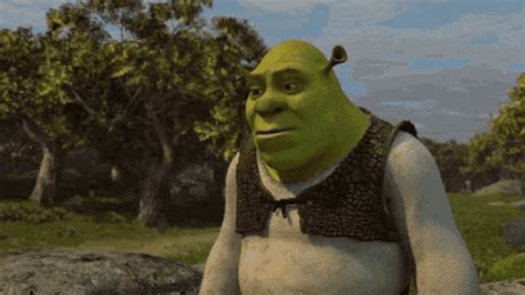 shrek gifs|shrek funny gif.